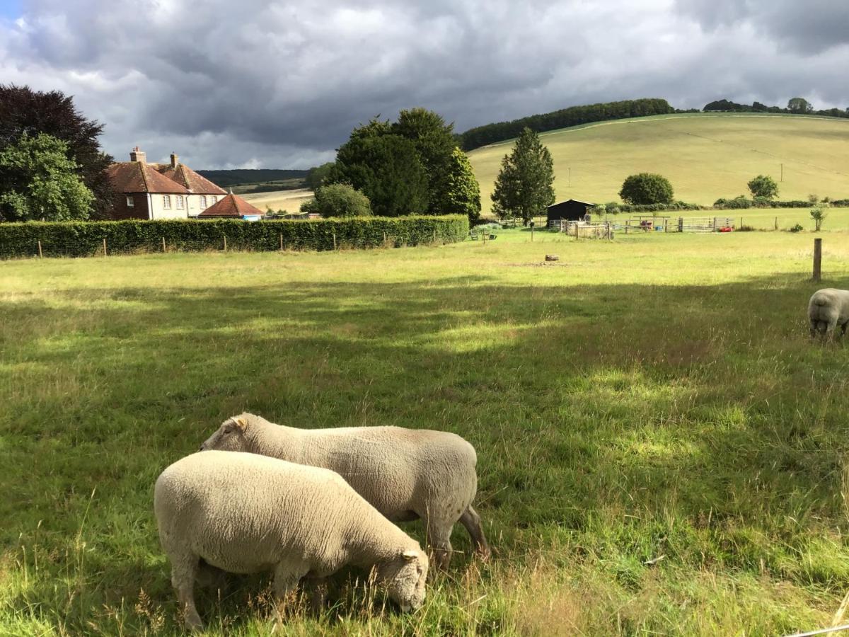 Bed and Breakfast Charlton End - Goodwood Events Chichester Zewnętrze zdjęcie